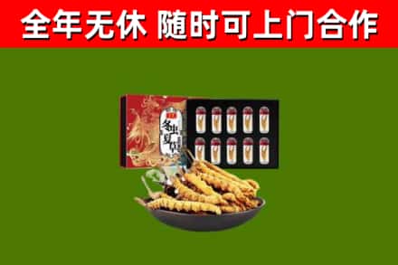 宜昌市烟酒回收冬虫夏草礼盒.jpg